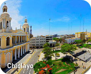 Web-de-Buses-Ayra-15