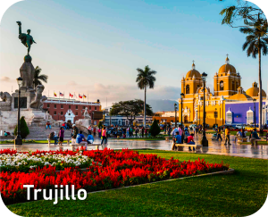 Web-de-Buses-Ayra-16