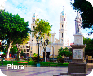 Web-de-Buses-Ayra-17