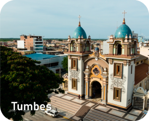 Web-de-Buses-Ayra-19