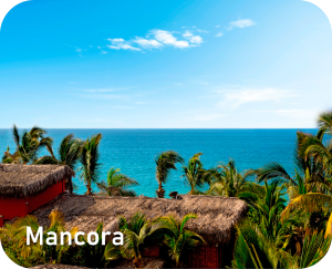 Web-de-Buses-Ayra-21